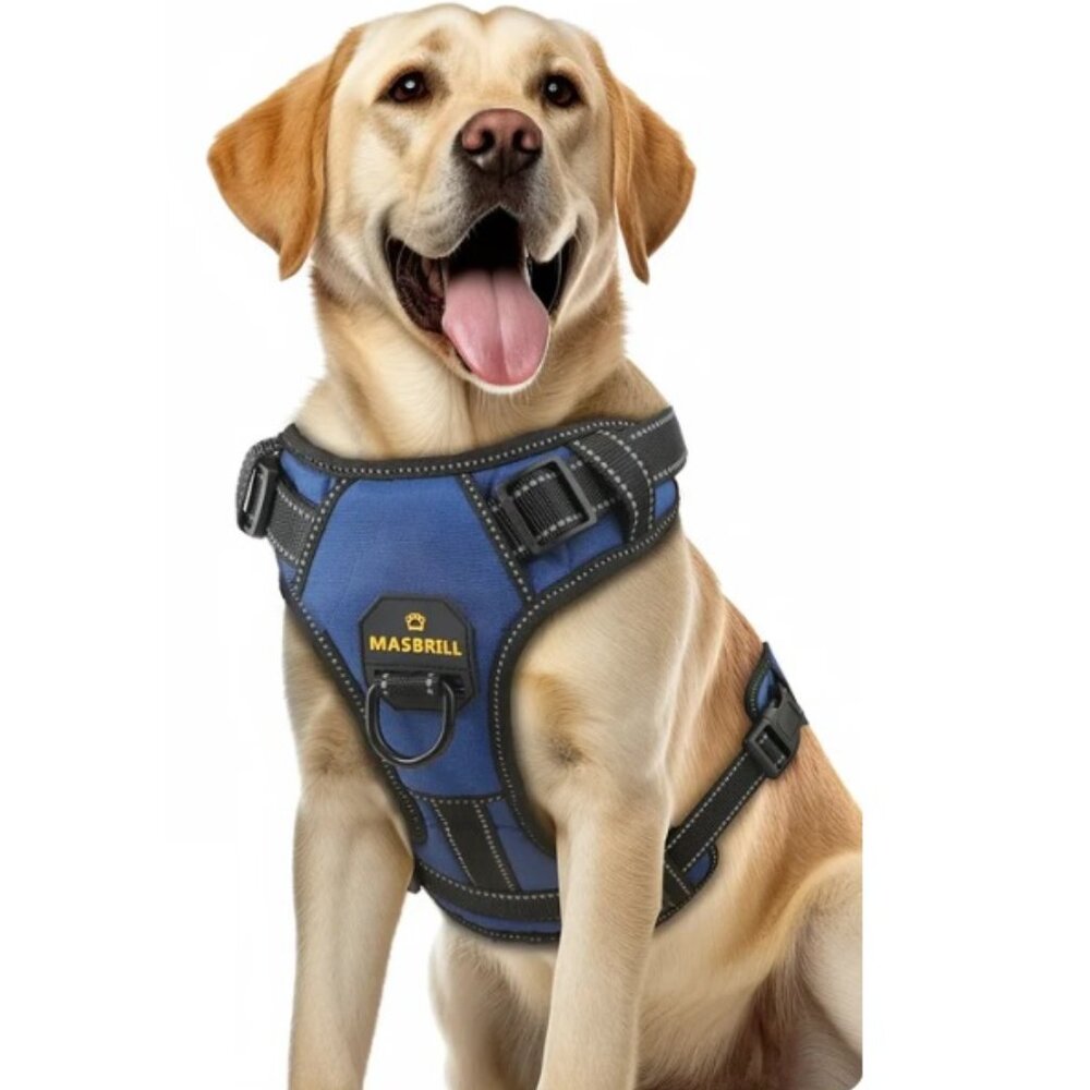 Masbrill Black and Blue Dog Harness with Leash Set size M